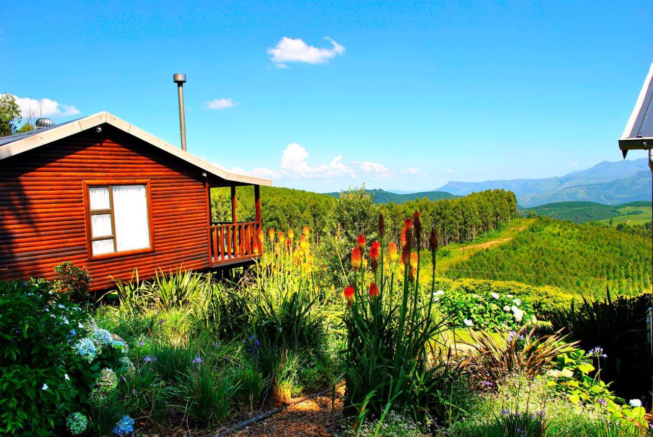 Forest View Cabins Тзанеен Экстерьер фото