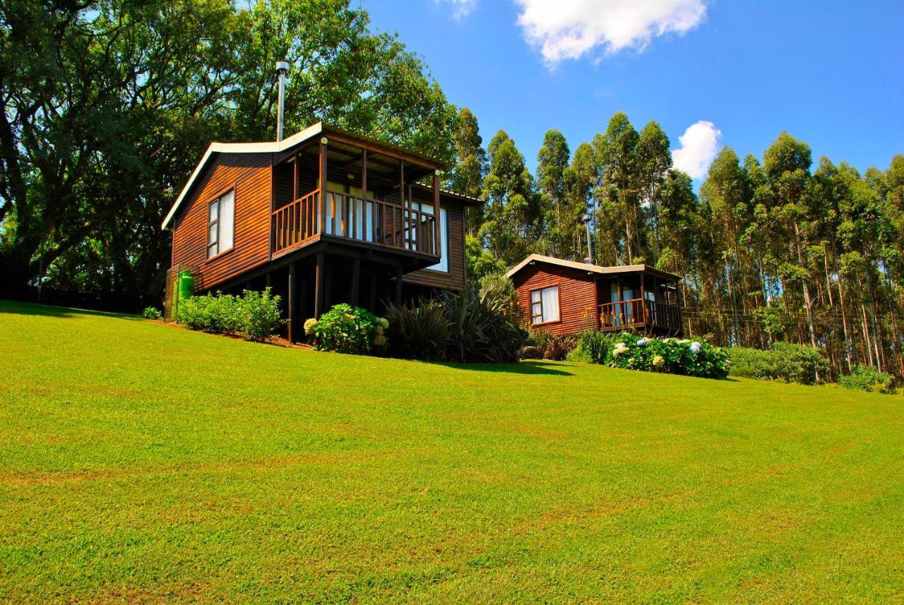 Forest View Cabins Тзанеен Экстерьер фото