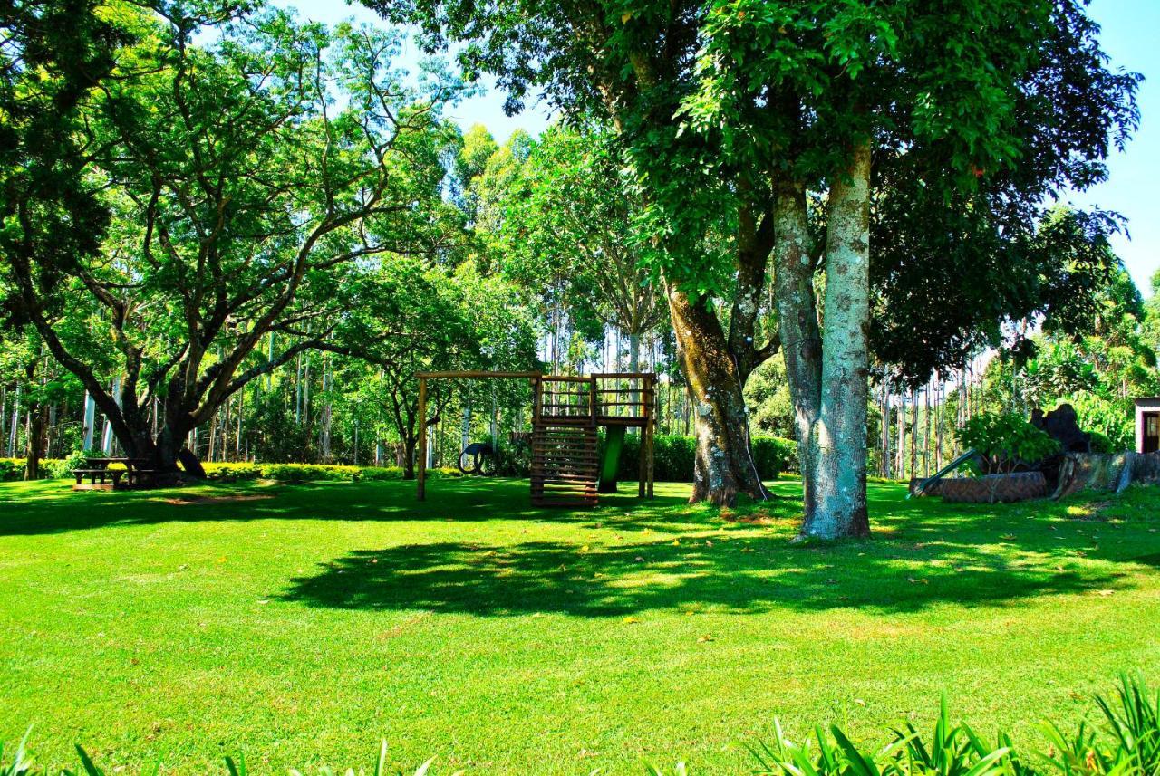 Forest View Cabins Тзанеен Экстерьер фото