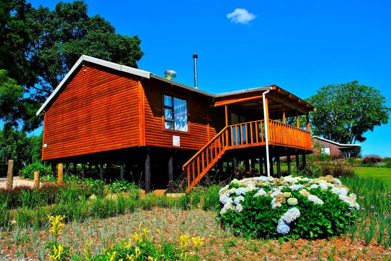 Forest View Cabins Тзанеен Экстерьер фото