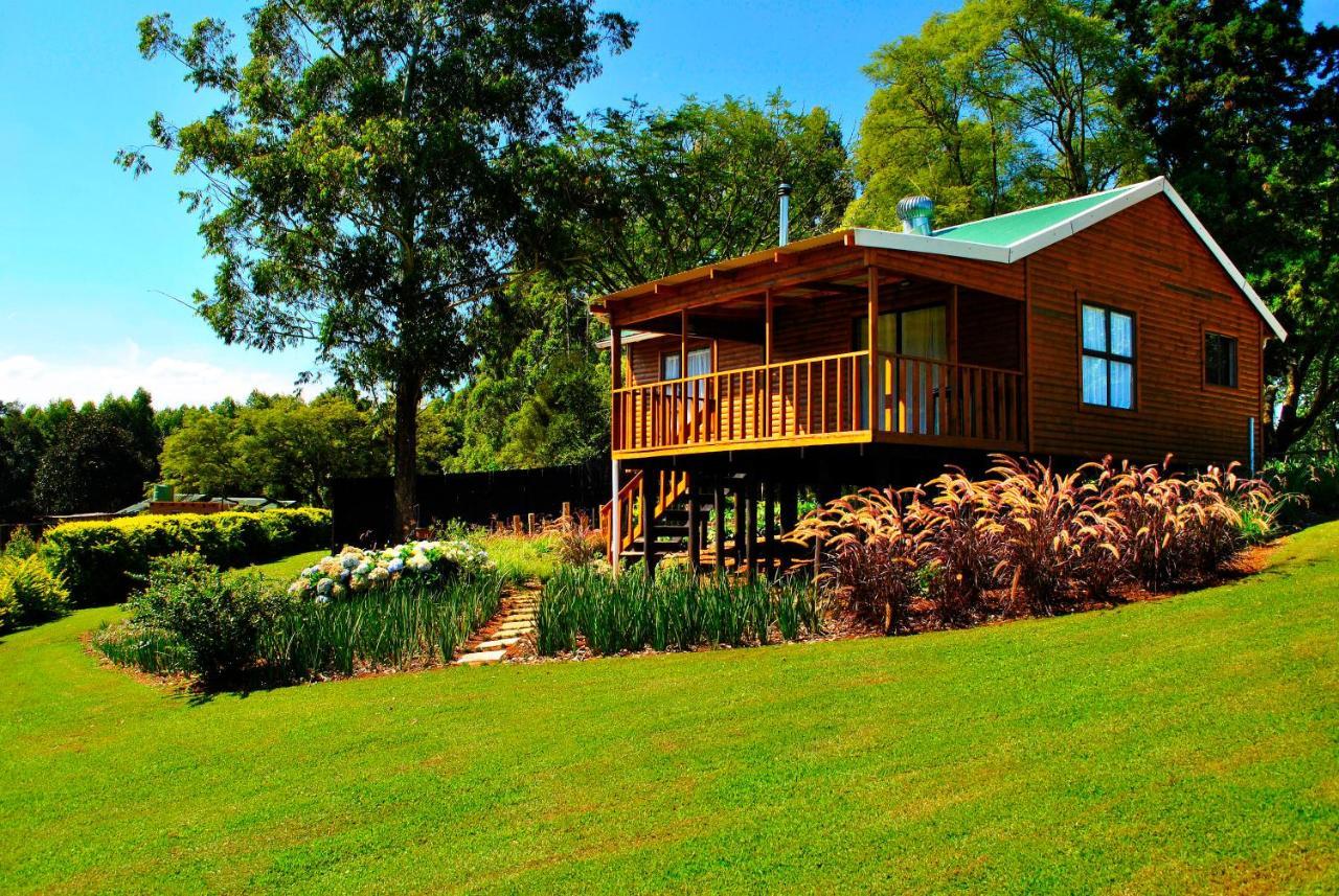 Forest View Cabins Тзанеен Экстерьер фото