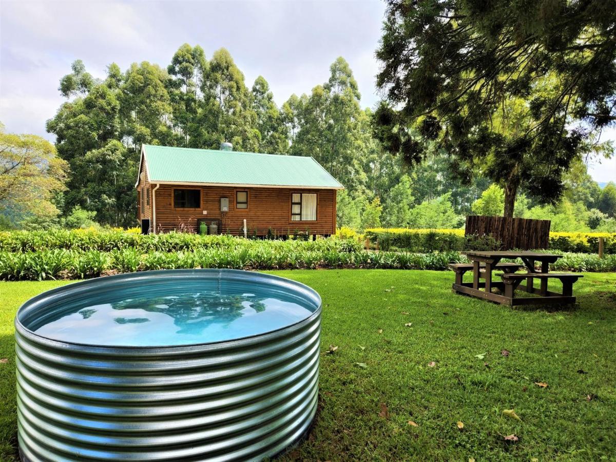 Forest View Cabins Тзанеен Экстерьер фото